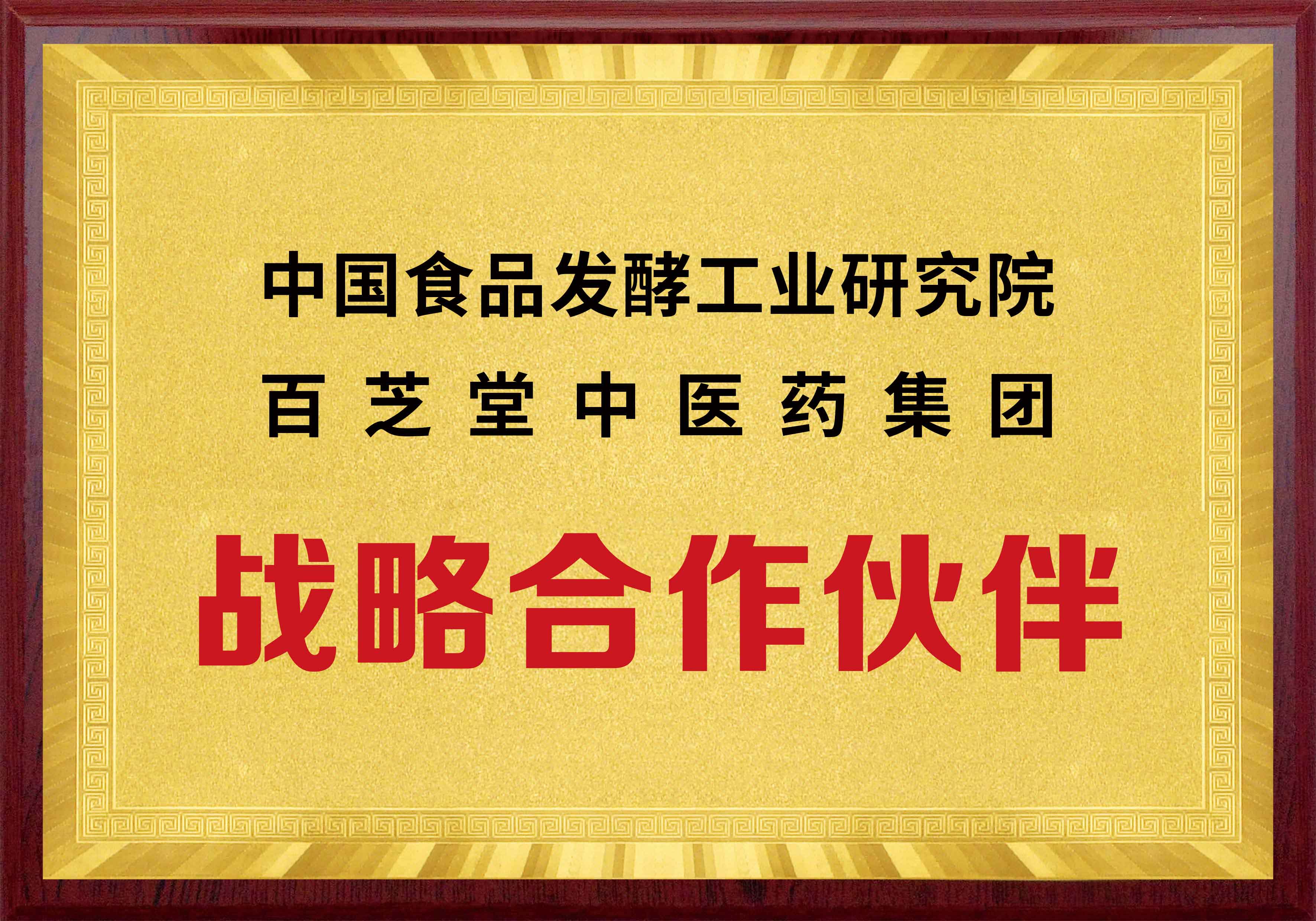 战略合作伙伴